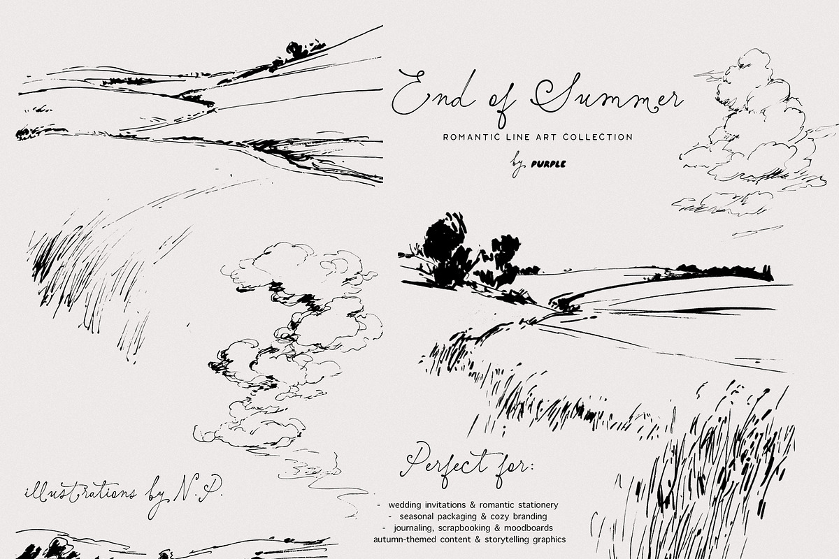 End of Summer: Line Art Collection, a Decorative Illustration by Purple (Photo 6 of 12)