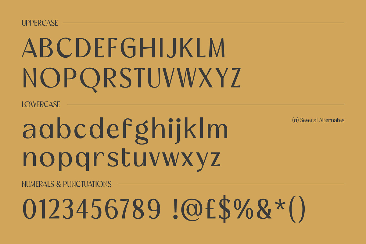 Megiko | High Contrast Classic Font, a Sans Serif Font by Hole Hope Design (Photo 4 of 10)