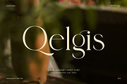 Qelgis Stylish Serif Font, a Serif Font by Elegant Font (Thumbnail 1 of 8)