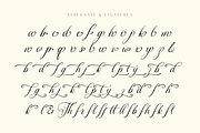 Sillysoffia Script Font, a Script Font by Ainun Jinan (Thumbnail 8 of 9)