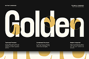 TRT Lancelot Condensed Font Family, a Sans Serif Font by truetype (Thumbnail 4 of 15)