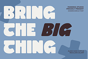 Alnio - Modern Display Sans Font, a Sans Serif Font by Pandeka Studio (Thumbnail 2 of 9)