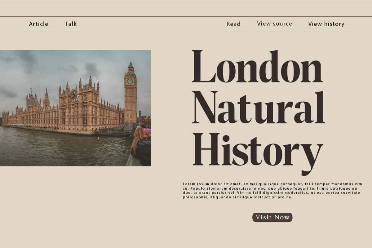 Night Queen, a Serif Font by josstype (Photo 4 of 6)