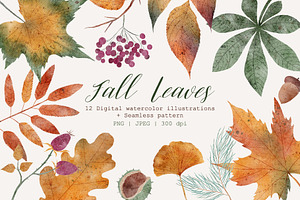 Fall Leaves | Cliparts & Pattern
