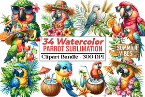Summer Parrot Sublimation Clipart, an Illustration by DreamCafeArt