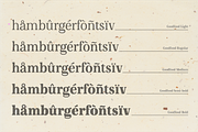 Goodfood Font Family, a Serif Font by MaGo (Thumbnail 5 of 7)