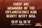 Sweet Antihero-Vintage Western Font, a Font by Gassstype (Thumbnail 7 of 8)
