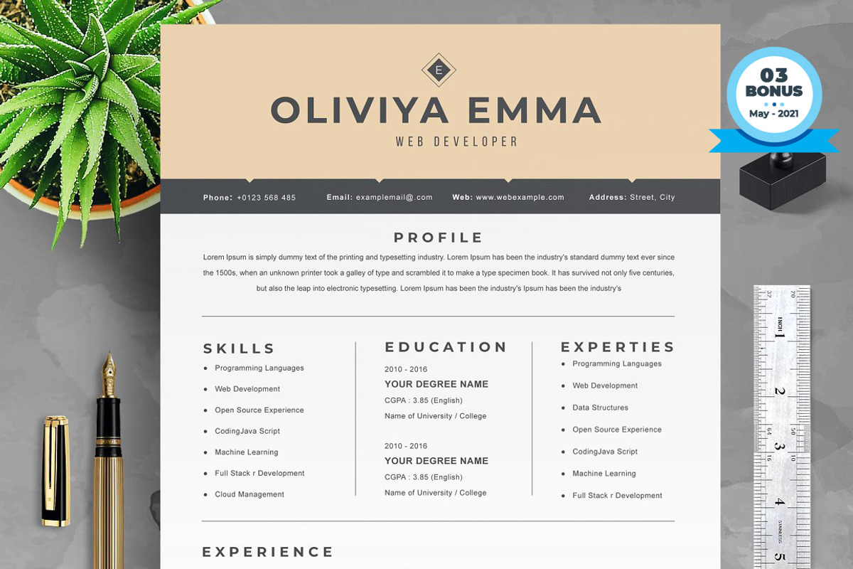 Resume/CV Bundle | 200+ for $29, a Resume Template by ResumeInventor (Photo 174 of 207)