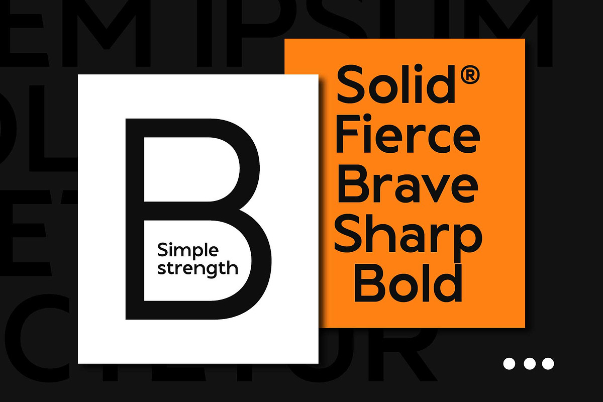 Maurico - Elegant Sans, a Sans Serif Font by Novitype (Photo 2 of 14)