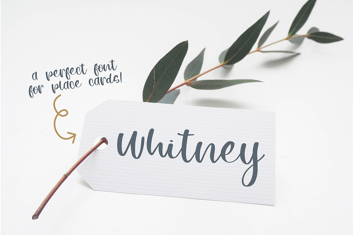 Buttercup, a Script Font by Dansie Design (Photo 4 of 10)