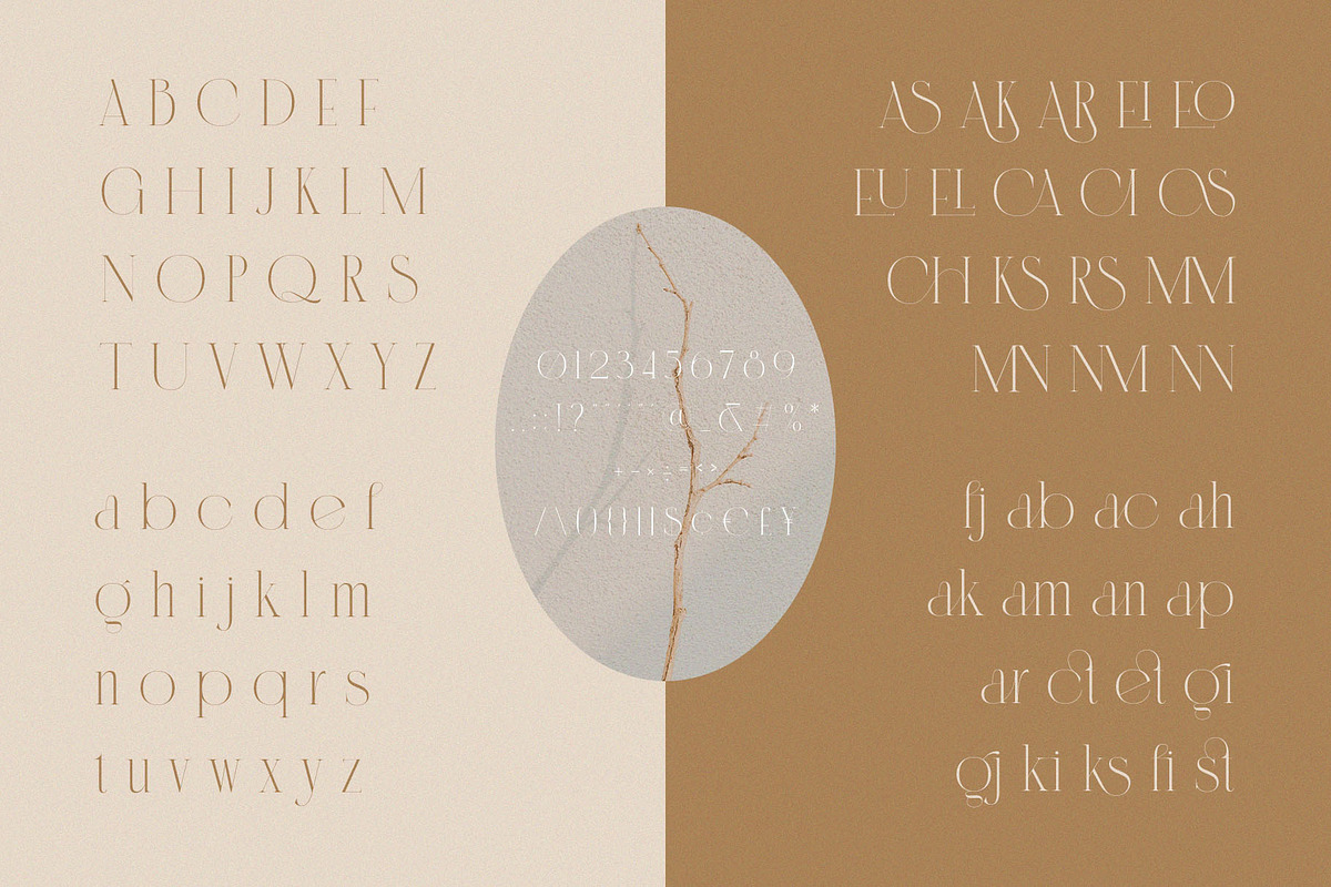 Cannia || Ligature Typeface, a Serif Font by BrandSemut (Photo 7 of 7)