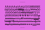 AO Orchid - Decorative Typeface, a Serif Font by OwunStudio (Thumbnail 3 of 15)