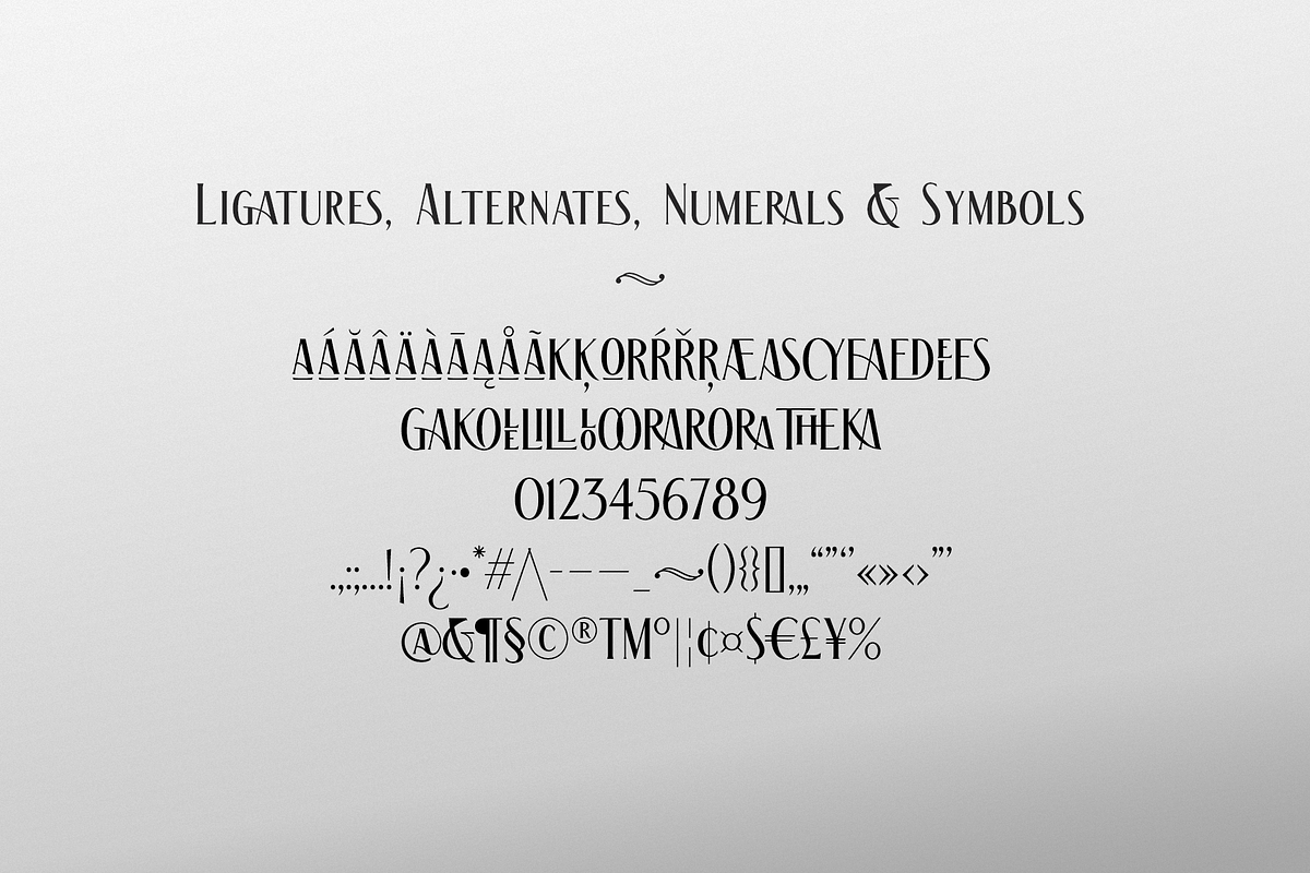 The Racoon Quest, a Serif Font by Roland Huse Design (Photo 6 of 7)