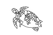 World Map Sea Turtle Bundle, an Illustration by Gaye Art (Thumbnail 24 of 31)