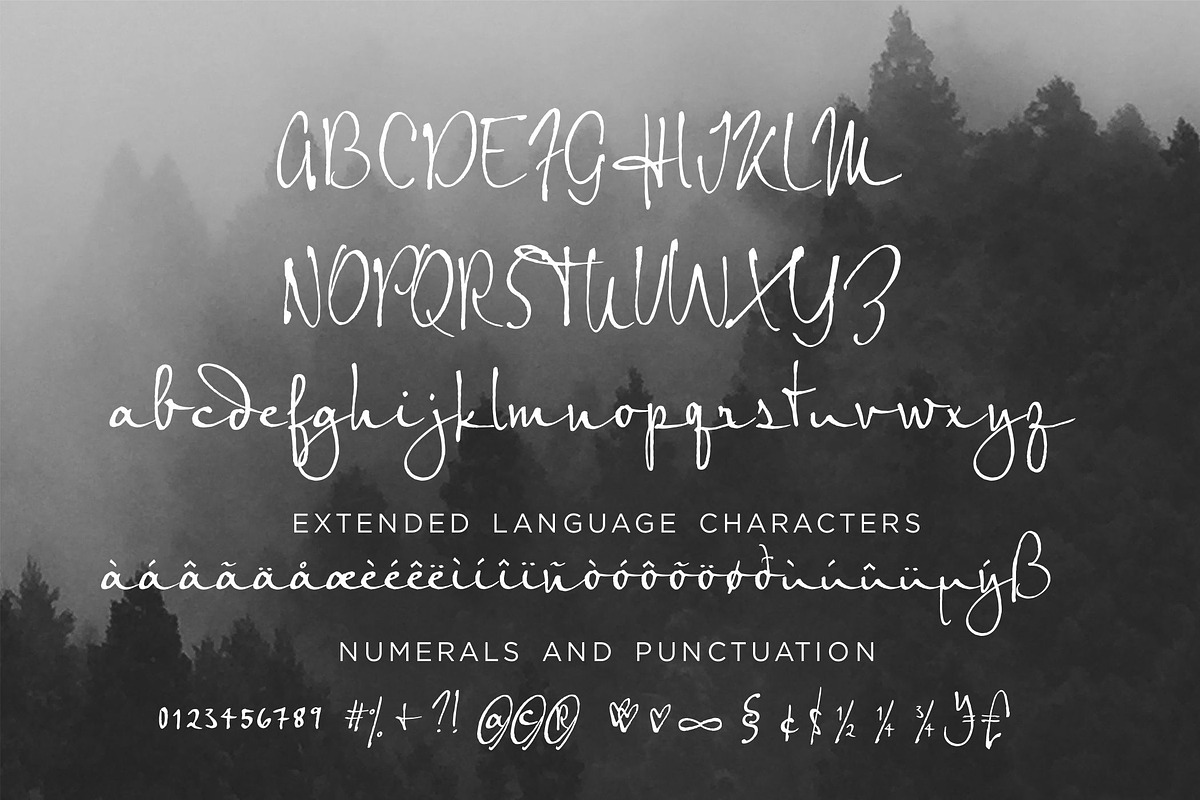 Echo Falls Modern Script preview 2