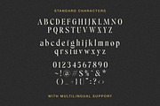 Silver Delight Modern Serif, a Serif Font by Letterhend Studio (Thumbnail 8 of 10)