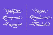 Akin — 75% Off, a Script Font by Indian Type Foundry (Thumbnail 4 of 9)
