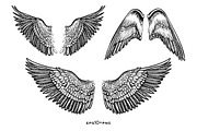 Vector Wings, an Object Graphic by Aquatinta (Thumbnail 2 of 4)