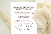 Sehfiam - Signature Casual Font, a Script Font by Dhabee (Thumbnail 3 of 15)