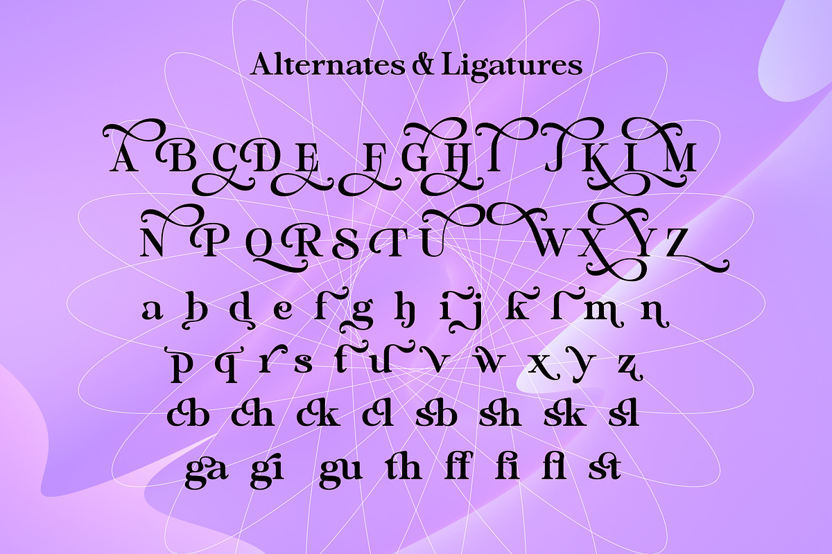 Dopamine Seekers - Stylish Serif, a Serif Font by Variatype (Photo 8 of 8)