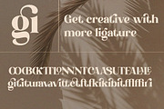 Bedross - Modern Elegant Serif, a Serif Font by Qweera Studio (Thumbnail 10 of 12)