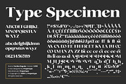 Fanilex, a Serif Font by Propertype (Thumbnail 15 of 16)