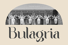 Bulagria Serif Display Font