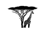 Giraffe Safari Silhouette Vector Bun, an Illustration by Designer_Momina (Thumbnail 33 of 51)