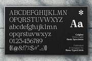 Calgine Serif, a Serif Font by MasaType (Thumbnail 12 of 12)