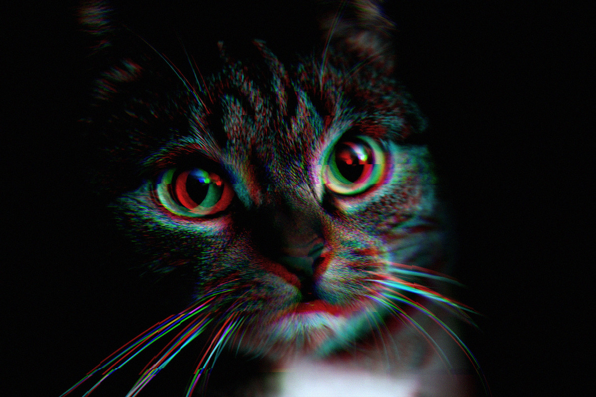 VHS Glitch Effect for Photoshop, a Layer Style Add-On by Design Squad (Photo 5 of 5)