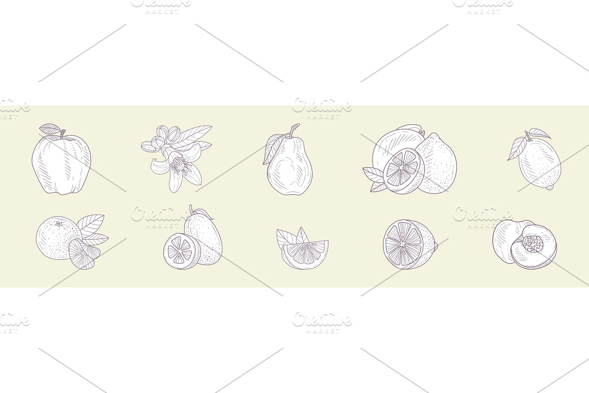 Hand Drawn Fruit and Fresh Juicy, a Food Illustration by TopVectors