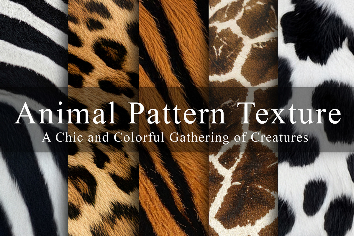 24 Animal Pattern Texture