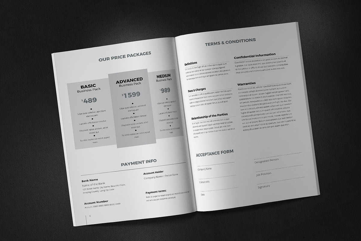 Business Proposal Canva, a Marketing Template by Sabin (Photo 5 of 8)
