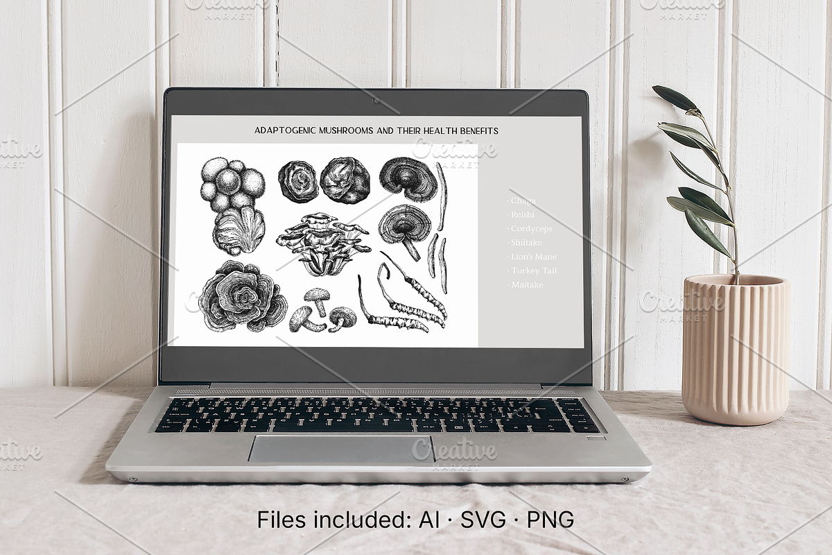 Medicinal Mushrooms & Plants Set, a Healthcare Illustration by Yevheniia (Photo 12 of 12)