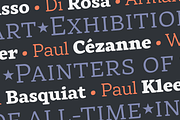 Rival Font Family, a Slab Serif Font by Mostardesign Type Foundry (Thumbnail 11 of 13)