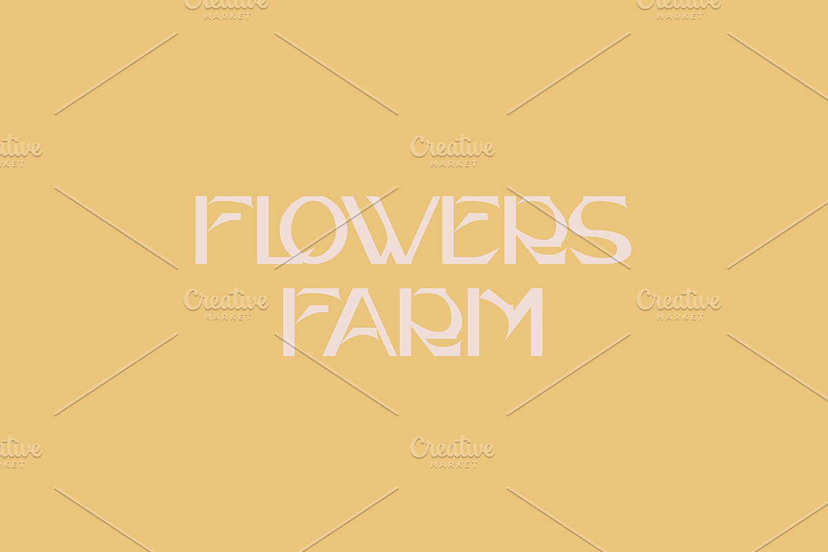 Thorn Font, a Font by Mymlan Shop (Photo 8 of 9)