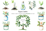 Watercolor organic cosmetic clipart, a Healthcare Illustration by Art and Funny (Thumbnail 6 of 14)