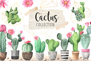 Watercolor Exotic Cactus Collection, a Texture Illustration by LarysaZabrotskaya (Thumbnail 1 of 11)
