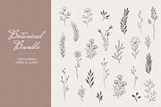 Botanical Bundle, a Decorative Illustration by Anatartan Design (Thumbnail 2 of 7)