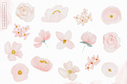 Blush & Botanica Florals, an Illustration by PrettyGrandmillennial (Thumbnail 3 of 13)