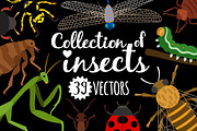 Insects, an Object Graphic by ianakauri (Thumbnail 1 of 4)
