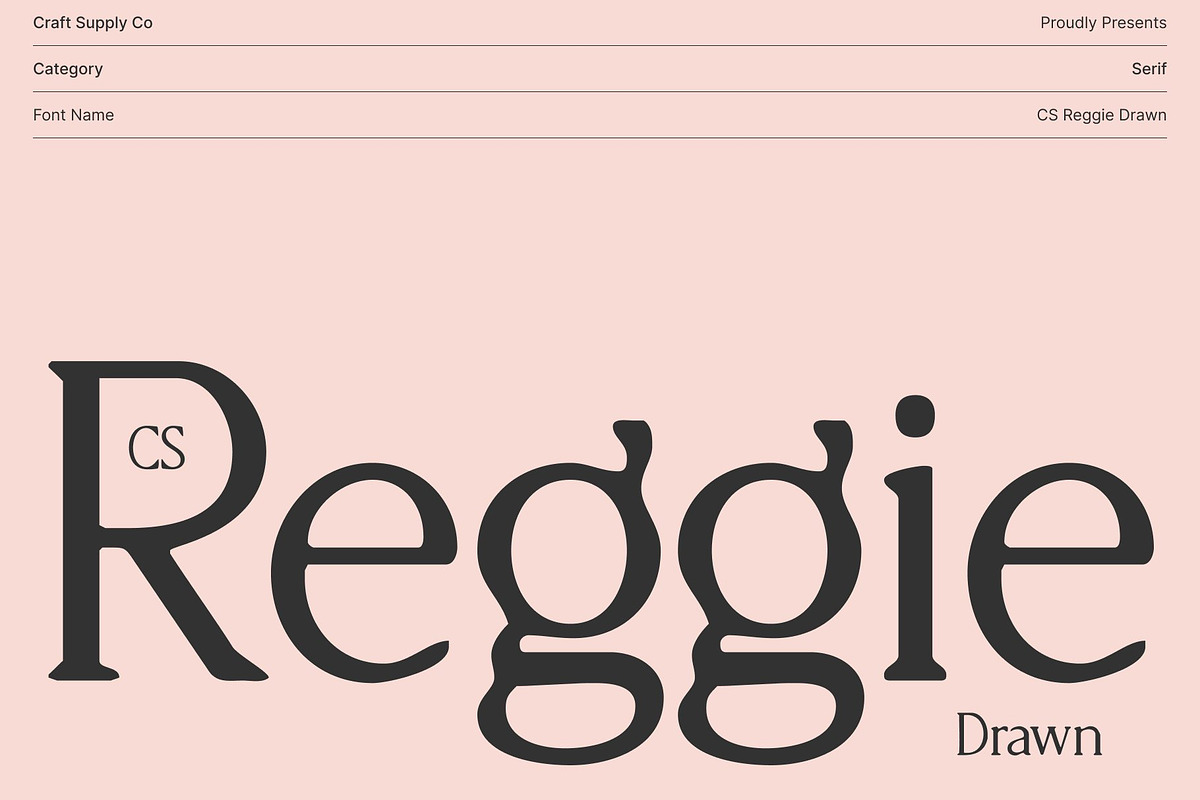CS Reggie Drawn, a Serif Font by Craft Supply Co. (Photo 1 of 8)