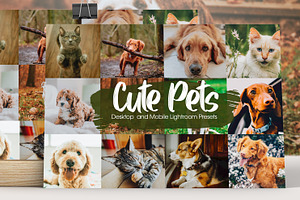 Cute Pets Lightroom Presets