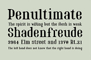 Marinaio Family + Ornaments, a Serif Font by Hederae Type Foundry (Thumbnail 7 of 11)