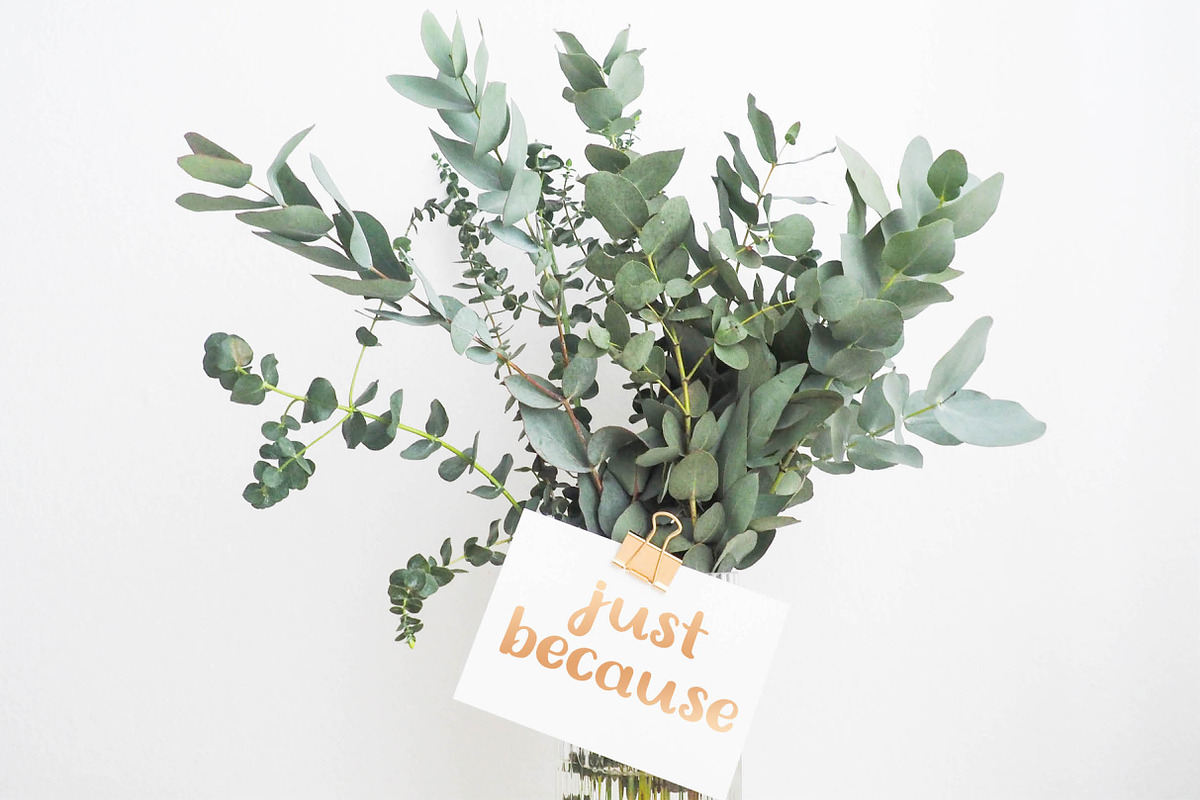 Susanna - A Sweet Handwritten Font preview 4