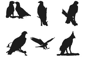 Eagle Silhouettes Set 1 Procreate