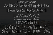 Simple Aesthetic, a Sans Serif Font by FreshTypeINK (Thumbnail 7 of 8)