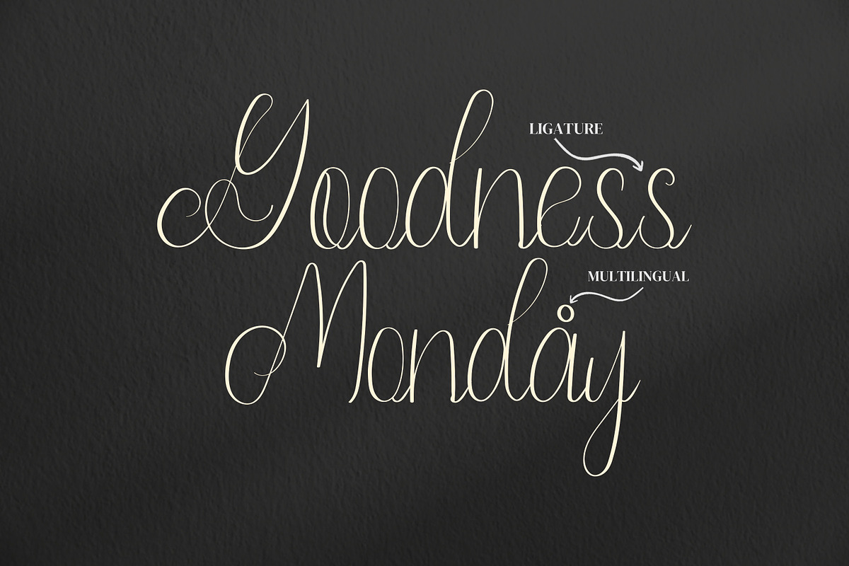 Olleta Script Fonts, a Script Font by mahstudios (Photo 11 of 15)