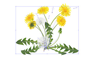 Vector Object Brushes.Dandelion.