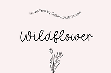 Wildflower Script Font